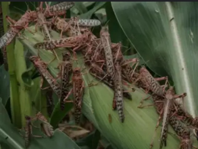 Screenshot ٢٠٢٤١٢٢٣ ٢٠٢٠٢٢ Google