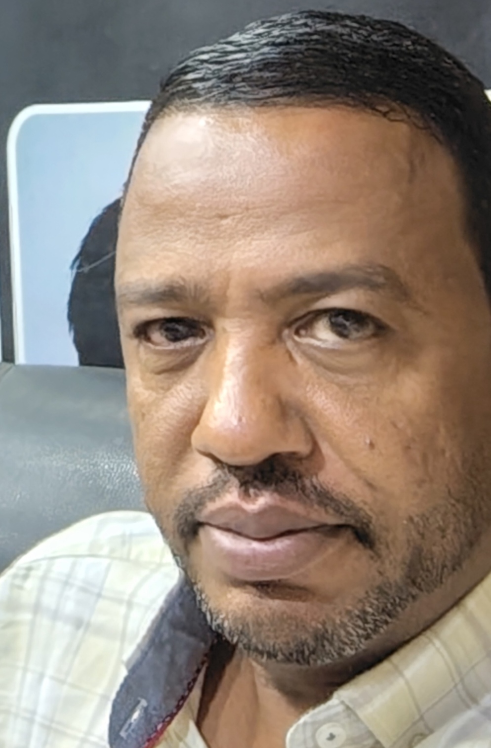 مأمون