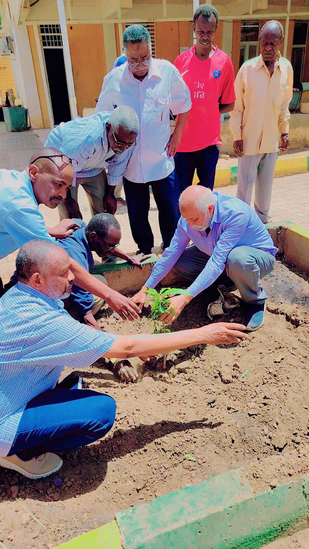 تدشين مبادرة تشجير مدينة مدني من مستشفى الاسنان 6 IMG 20250513 WA0000