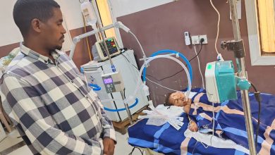 رصاصة طائشة تخترق العين اليسرى للطفلة جود البالغة من العمر ثلاثة سنوات 7 IMG 20250702 WA0057
