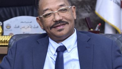 الشركة السودانية للموارد المعدنية نجاح متواصل وحضور لافت في منتدى مصر للتعدين 2025م 7 IMG 20250716 WA0011