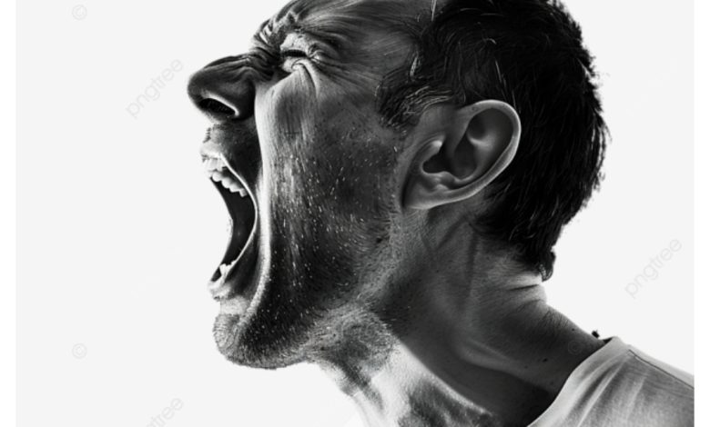 Screenshot 20250725 133330