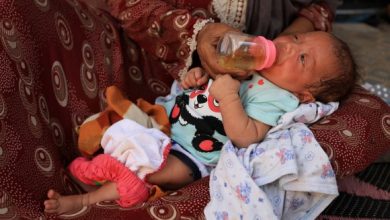 بطحن الحمص وغلي أوراق الشجر .. حيل عائلات غزة الخطرة لإطعام الرضع 7 image 7254b5 89765393