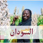 زراعة٣