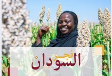 زراعة٣