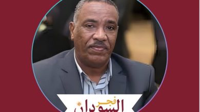 جنود الإنسانية : الوجه الآخر للقوات المسلحة السودانية 6 عادل ٢