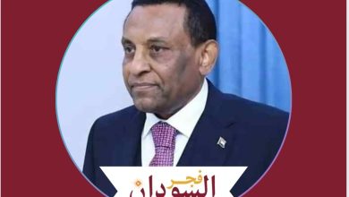 كامل ٥