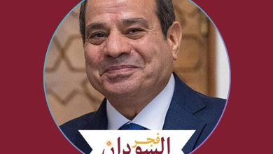 مصر تجدد دعمها الكامل للسودان 4 مصر ٣٣