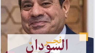 السيسي : ترامب قادر على إيقاف حرب غزة 5 مصر ٨