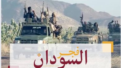 الجيش السوداني يدفع بتعزيزات عسكرية جديدة 6 مليشيا