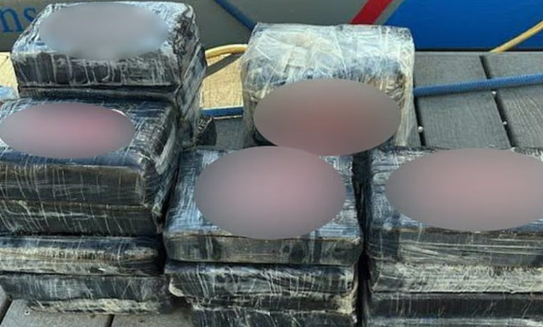 أمريكي يعثر على 23 كيلو من الكوكايين تطفو على سطح البحر 1 1099741 111