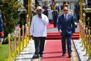 قضية نهر النيل حاضرة في لقاء السيسي وموسفيني في القاهرة 2 29512 3a090e4e 5ea9 4c5b ab65 8fec060bf810