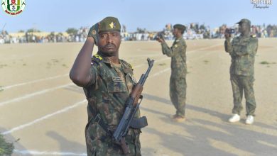 الفرقة 19 مشاة مروي تعزيز الأمن القومي وحماية حدود الولاية الشمالية 5 IMG 20250925 WA0023