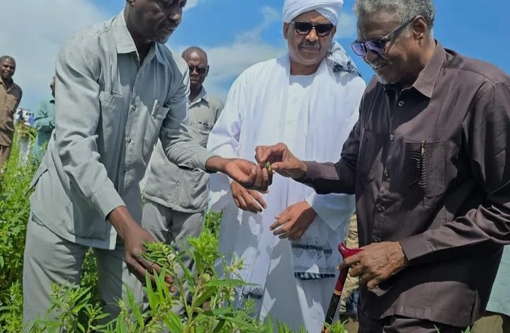 Screenshot ٢٠٢٥٠٩٢١ ١٤٥٦٢٤ Lite