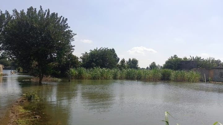 00561515 9263 4883 a4ac