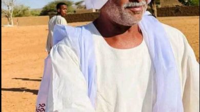 عبد الله محمد علي بلال يكتب : ثم ماذا بعد رحيل ناظر المجانين؟ 7 IMG 20251017 WA00541