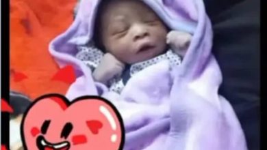 (فجر السودان) ...يتشارك الفرحة والتبريكات مع كاتب العمود أ. احمد عز الدين نوري حلاة الفرحة بوصول عطية الرحمن(مصطفي) 7 IMG 20251025 WA0010