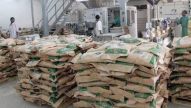 المصانع بالخرطوم....حراك وتعافي العودة من جديد 6 Screenshot ٢٠٢٥١٠٠٢ ١٠٤٢٢٥ Chrome