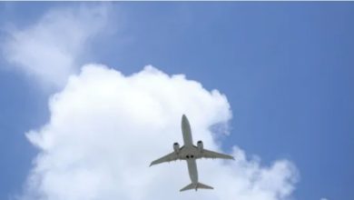 هبوط اضطراري لطائرة متجهة إلى مصر بسبب امرأة "مخمورة" 7 Screenshot ٢٠٢٥١٠٠٥ ١٠٣٠١٤ Chrome