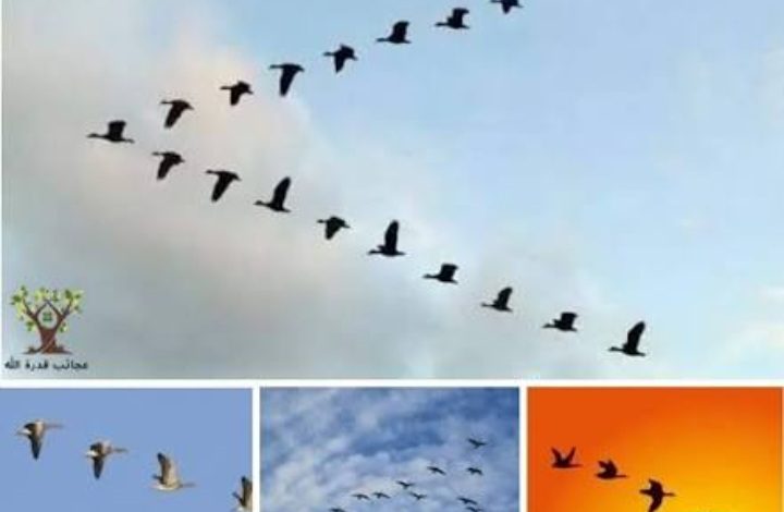 Screenshot ٢٠٢٥١٠٠٩ ٠٩٢٦١٥ Google