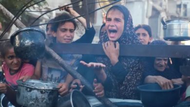 السودان .. ترحيب كامل لوقف اطلاق النار في غزة  5 Screenshot ٢٠٢٥١٠١١ ٠٩٠٣٢١ Google