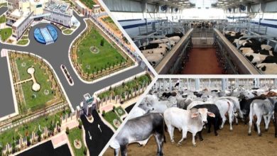 اتفاق على إنشاء مدينة إنتاج حيوانى بالقضارف 5 Screenshot ٢٠٢٥١٠٢٥ ٠٧٥٥١٣ Google