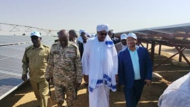 وزارة الزراعة والري تدشن عمليات زراعة الموسم الشتوي بالشمالية 5 Screenshot ٢٠٢٥١٠٢٧ ١٦٢٥١٤ Chrome