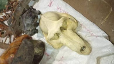 Screenshot ٢٠٢٥١٠٢٩ ٠٩١٨٤٥ Chrome