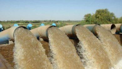 Screenshot ٢٠٢٥١٠٣١ ٠٩٣٧٢٧ Chrome