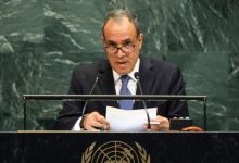 وزير الخارجية المصري يتوجه إلى باكستان لبحث التهدئة في الخليج 2 مصر