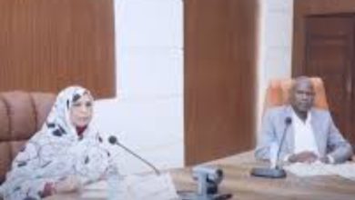 Screenshot ٢٠٢٥١١٠٧ ٠٩٥٨١٤ Google