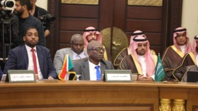 وزير النقل السوداني يخاطب إجتماعات الدورة (38) لوزراء النقل العرب بالقاهرة 6 Screenshot ٢٠٢٥١١١٢ ١٢٥٨٢٨ Chrome