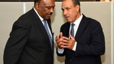 الخارجية المصرية تجدد مواقفها الثابتة في دعم وحدة واستقرار السودان 5 Screenshot ٢٠٢٥١١١٣ ٠٩٠٦٥١ Google