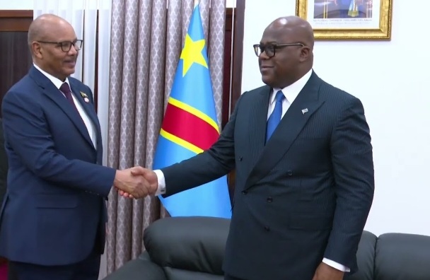 ما الذي دار ما بين رئيس جمهورية الكونغو الديمقراطية و عضو مجلس السيادة الانتقالي إبراهيم جابر 1 Screenshot ٢٠٢٥١١١٥ ١٧١٥١٧ Google