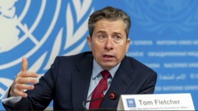 Screenshot ٢٠٢٥١١١٨ ١٠٣٥٣٧ Google