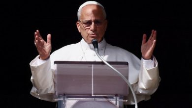 بابا الفاتيكان : اتابع بحزن التقارير المروعة والوحشية من الفاشر 5 image 90265861