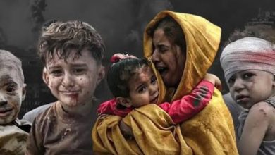 Screenshot ٢٠٢٥١٢٠١ ٠٩٢٦١١ Chrome