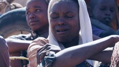 Screenshot ٢٠٢٥١٢٠١ ١٦٤٨٣١ Chrome