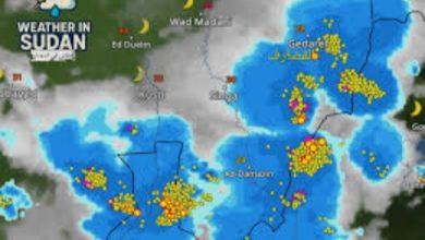 Screenshot ٢٠٢٥١٢٢٦ ١١١٣٠٠ Chrome 1