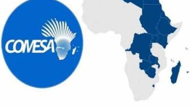 أهمية الكوميسا لدعم السودان.. 3 images 1