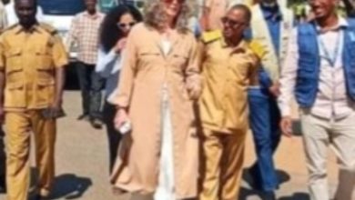 Screenshot ٢٠٢٦٠١٠٦ ١١١٥١٠ Gallery 2