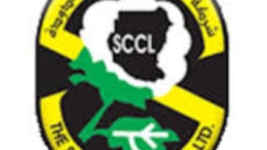 Screenshot ٢٠٢٦٠١٢٣ ٠٩٥٥٠٦ Chrome