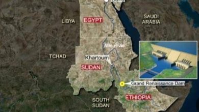 مهددات من كوارث بيئية شديدة الخطورة بين السودان ومصر 5 Screenshot ٢٠٢٦٠١٢٦ ٠٩٥٩٠٩ Chrome