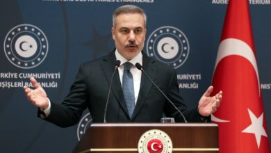 image 9ed42f 90931208