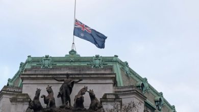 image bf79f0 90996216