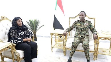 645211954 958624886519217 7734892057425123768 n