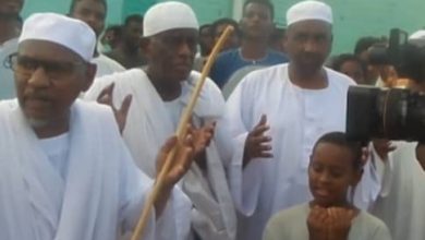 IMG ٢٠٢٦٠٣١٠ ١٠٥٨٠٤