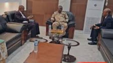 قرارات جديدة بمنع التصرف في الأراضي التالفه بسبب الحرب 4 Screenshot ٢٠٢٦٠٣١٤ ٠٥٥١٣٧