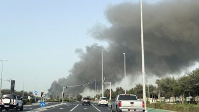 image f20267 91162034