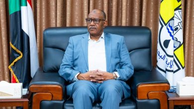 1762187533 576784669 865331269181913 6300397392597198030 n